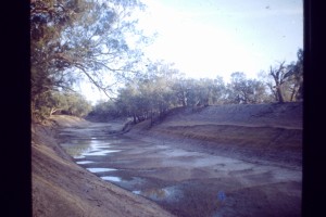 1968 Darling-jill murray delta   
